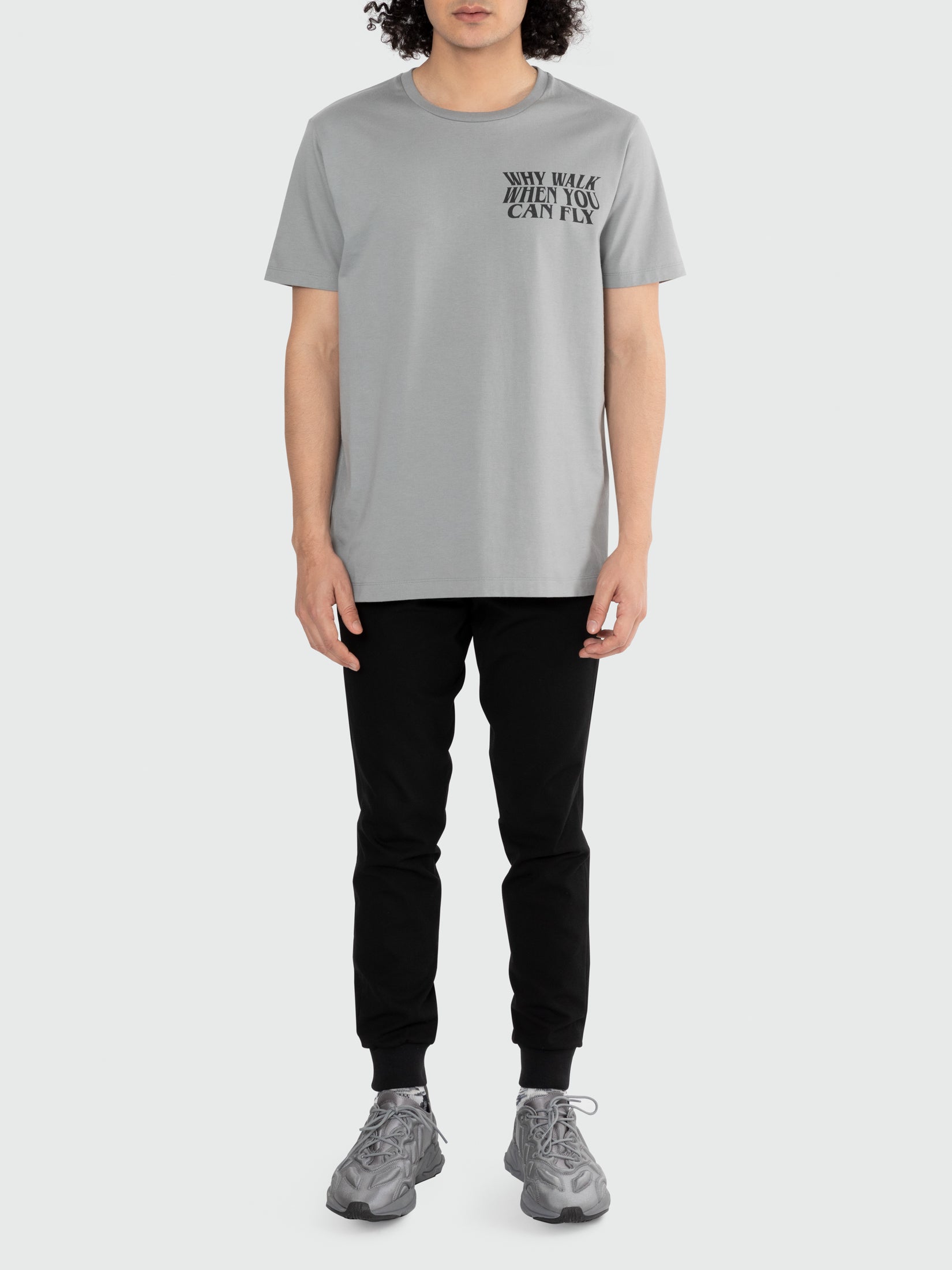 Why Walk When You Can Fly Tee