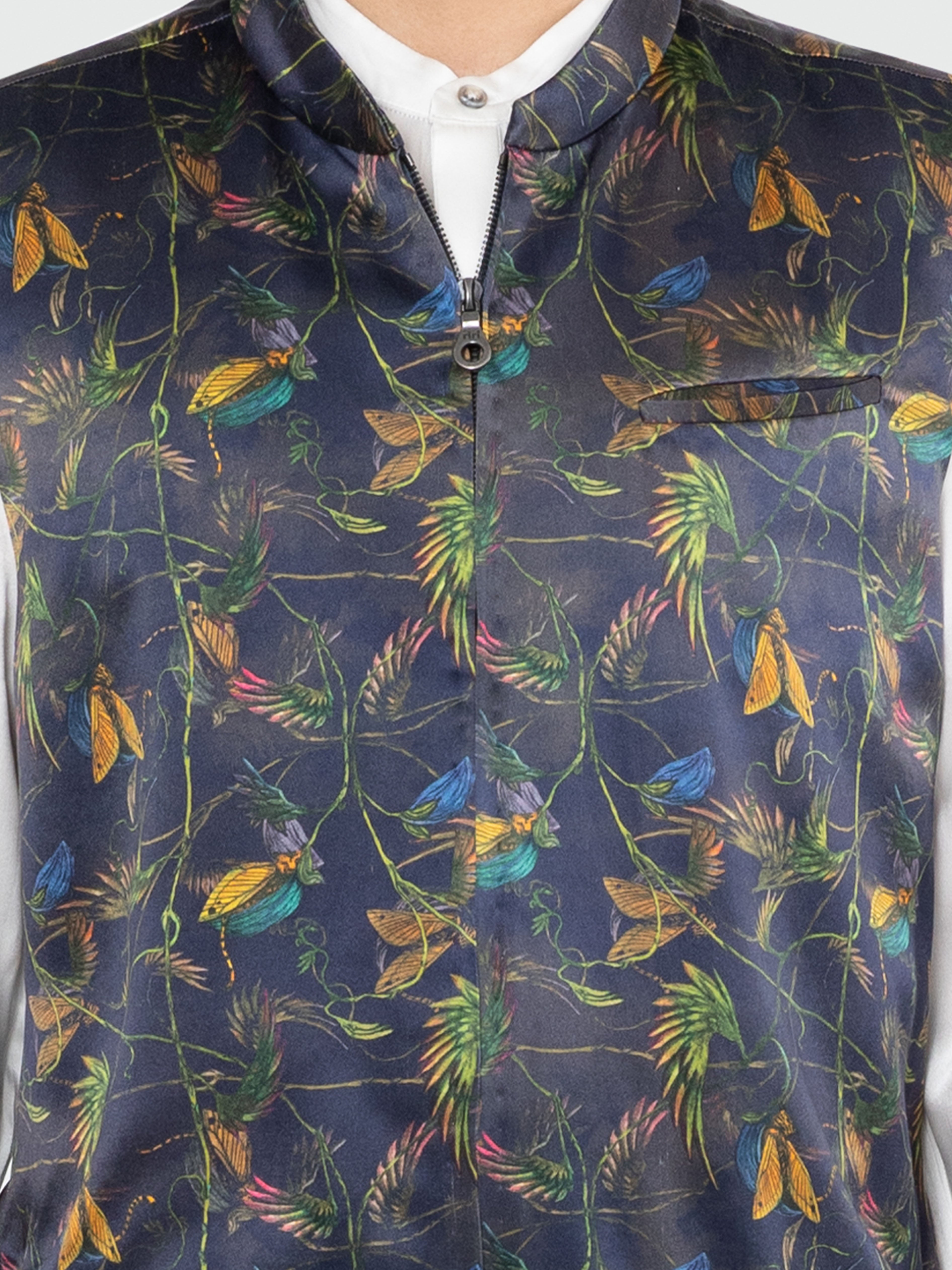 Cat in A Pod Bandi Bomber