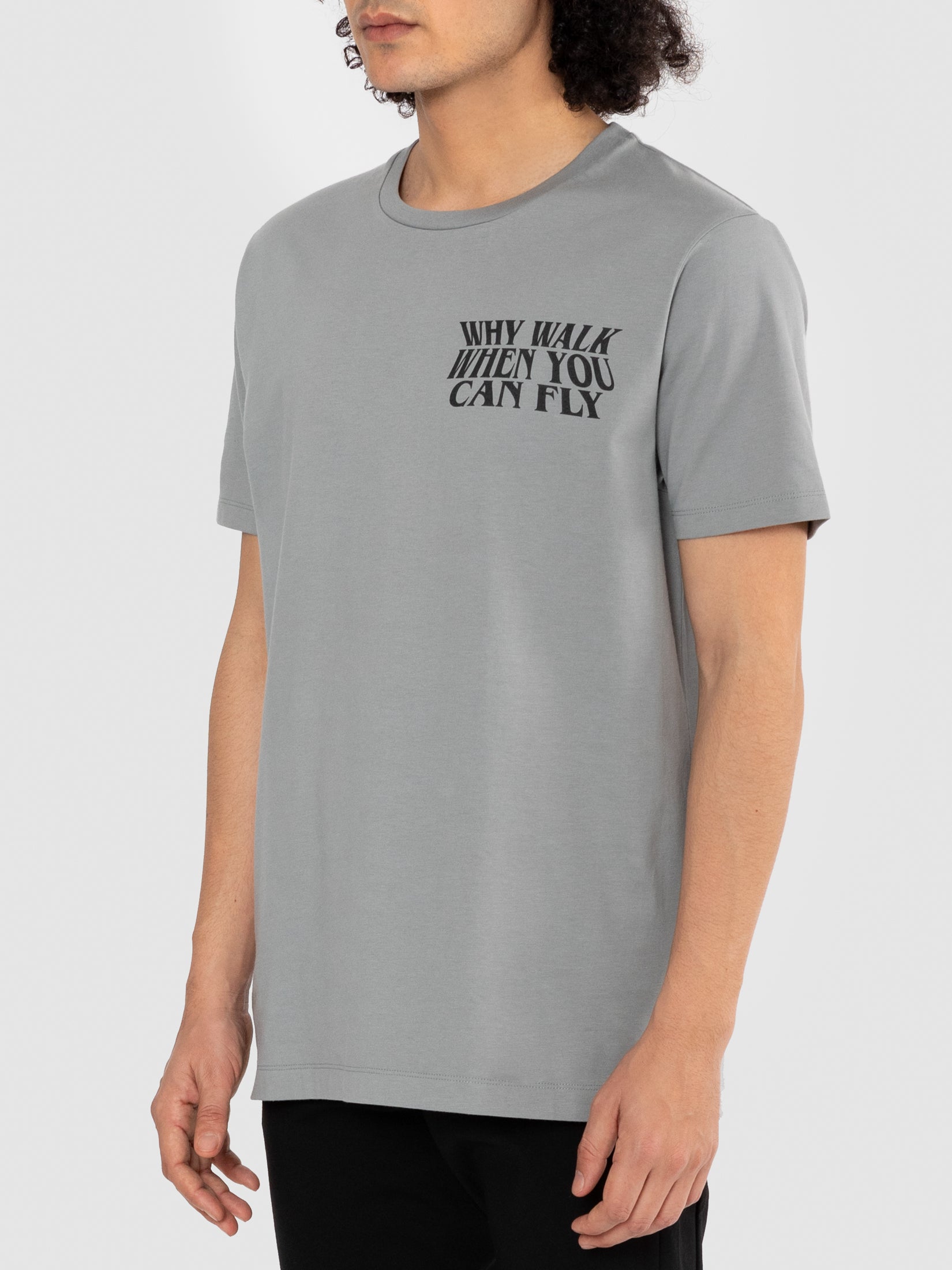 Why Walk When You Can Fly Tee