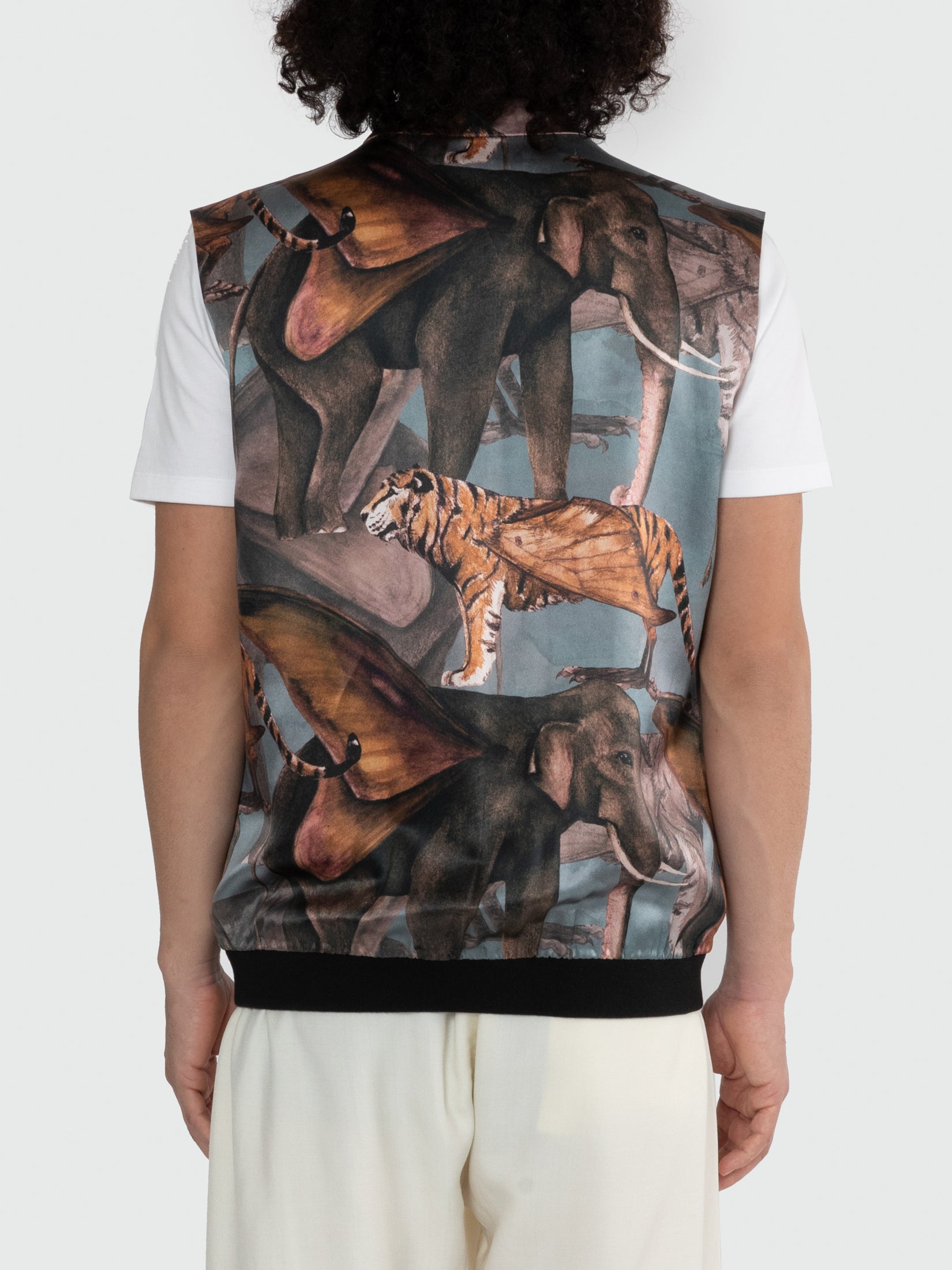 Galactic Jungle Bandi Bomber