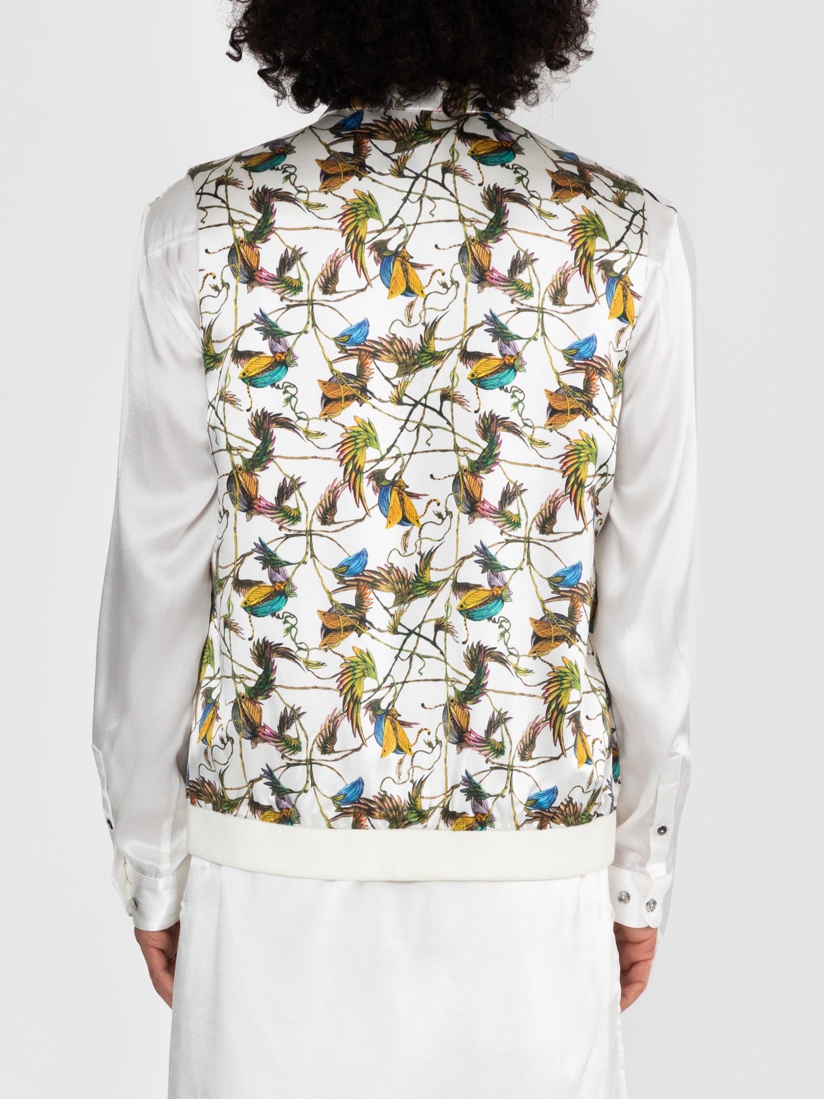 Cat in A Pod Bandi Bomber
