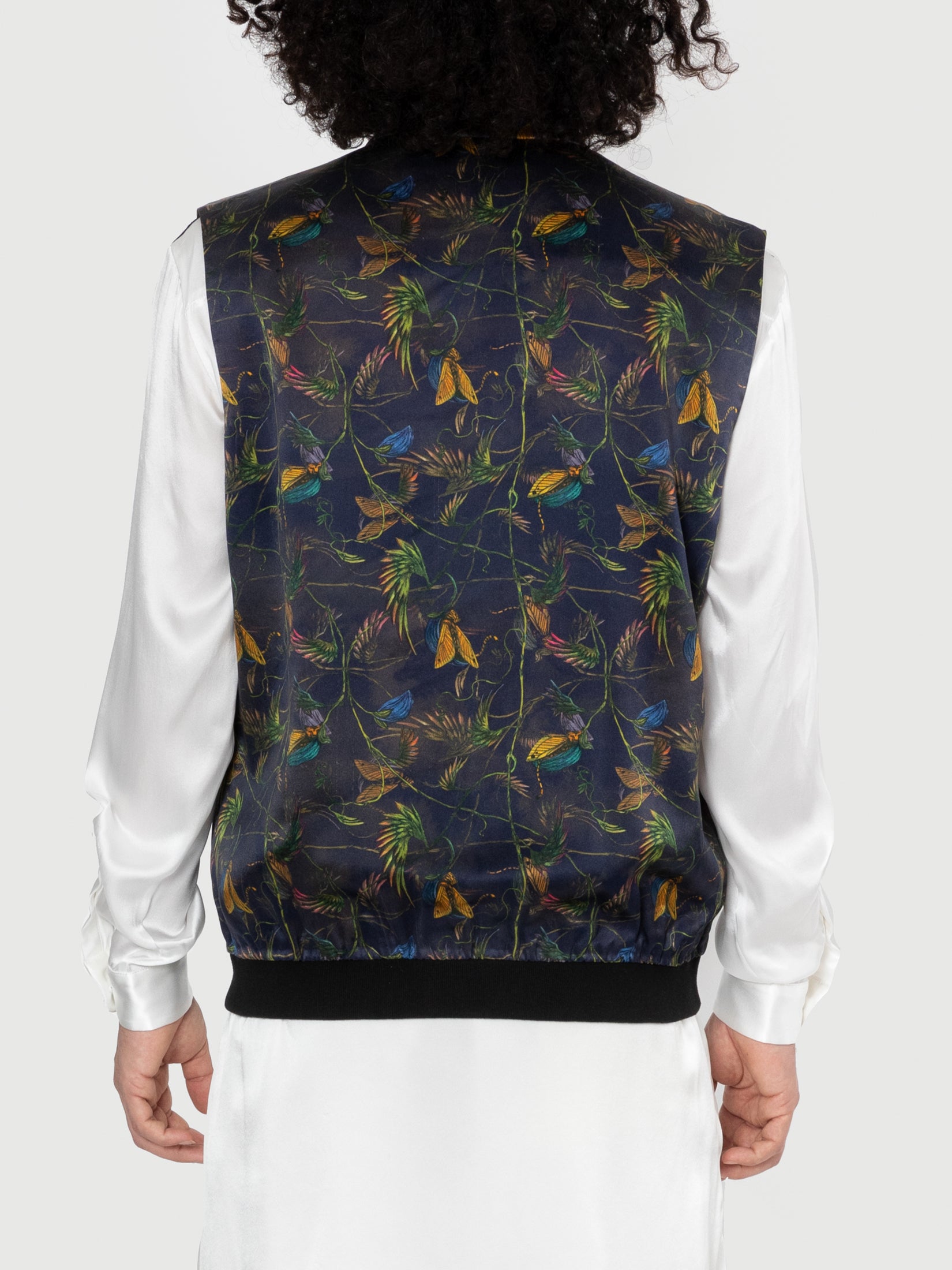 Cat in A Pod Bandi Bomber