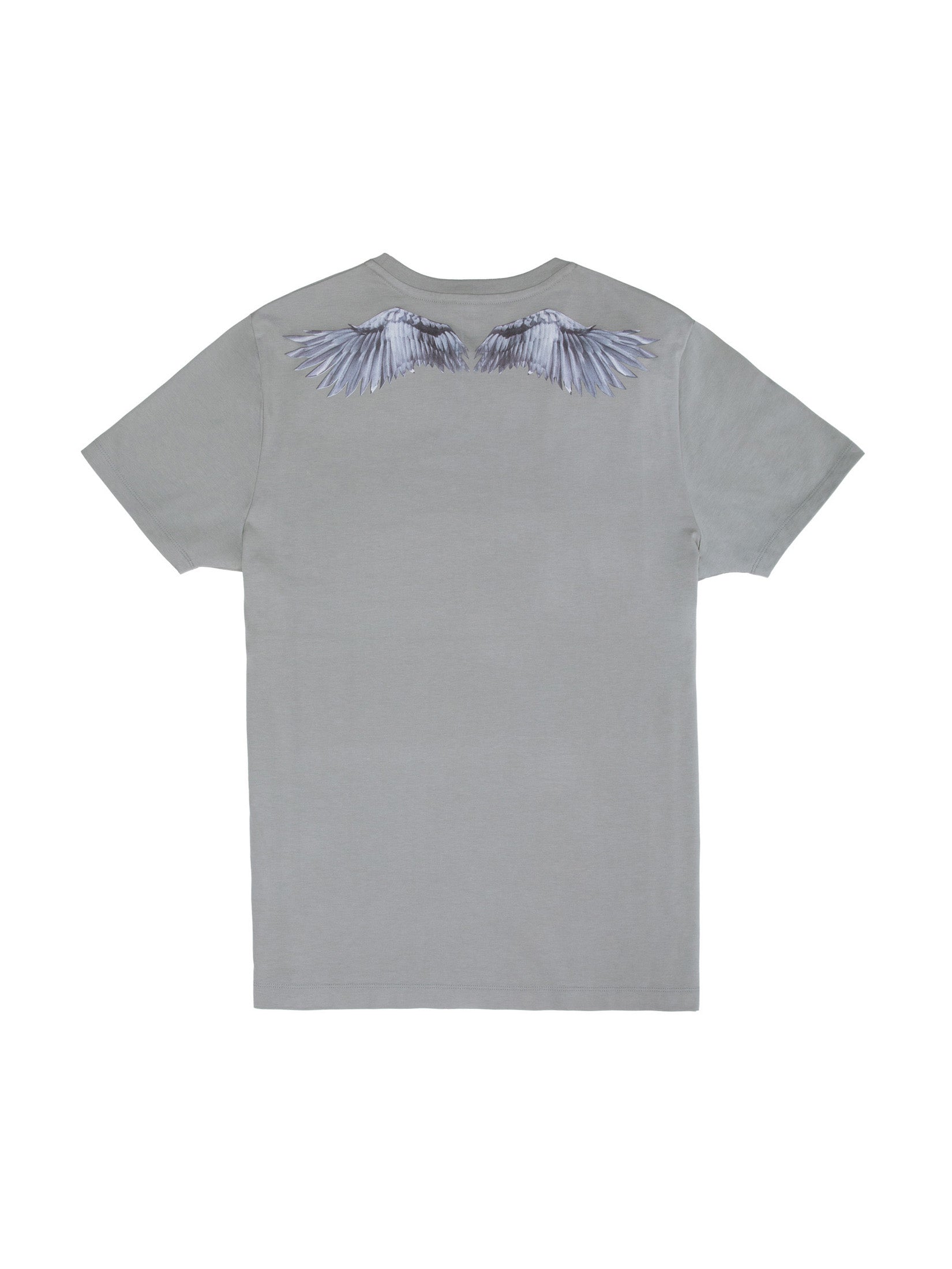 Why Walk When You Can Fly Tee