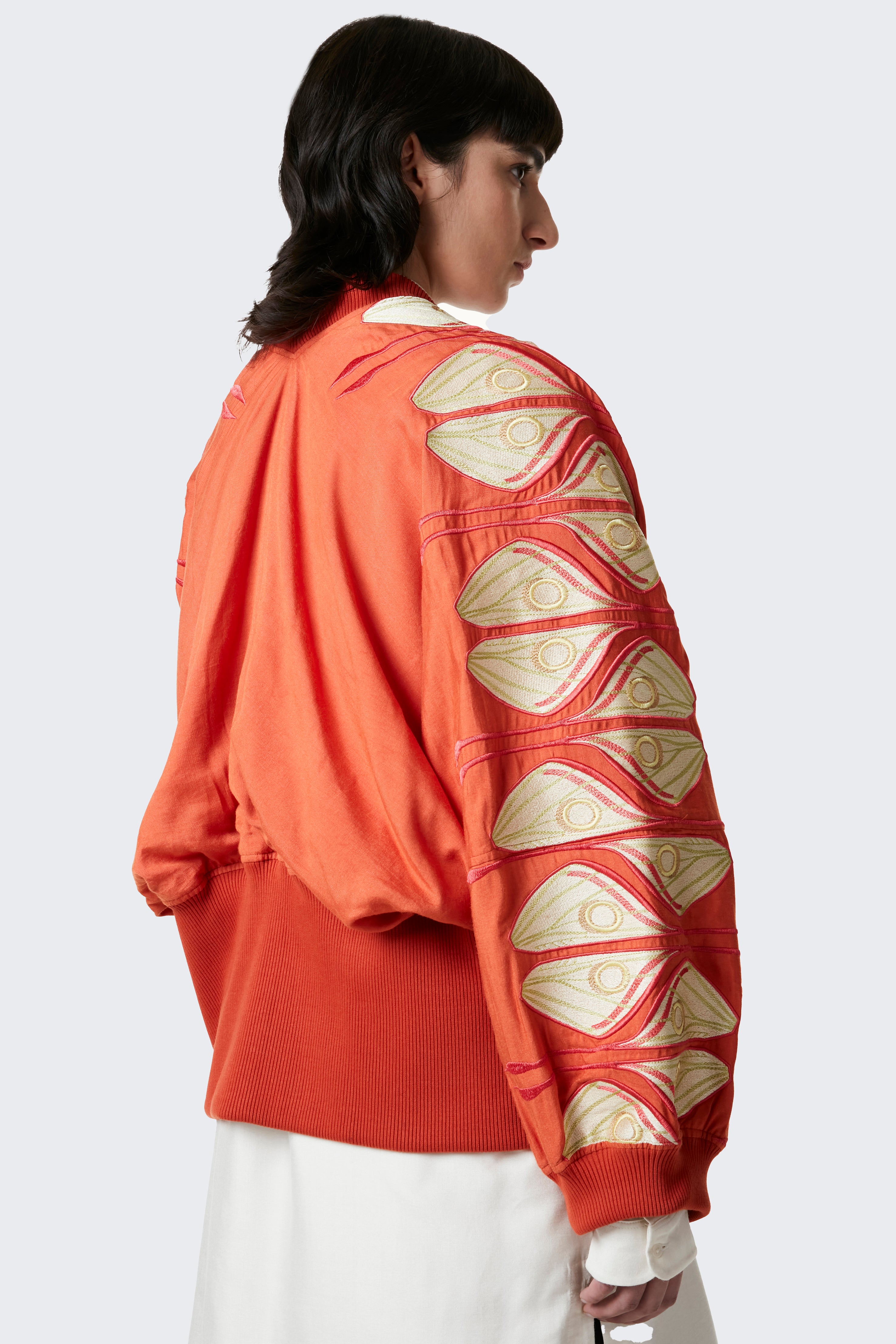 Moth Wing Directional Bomber