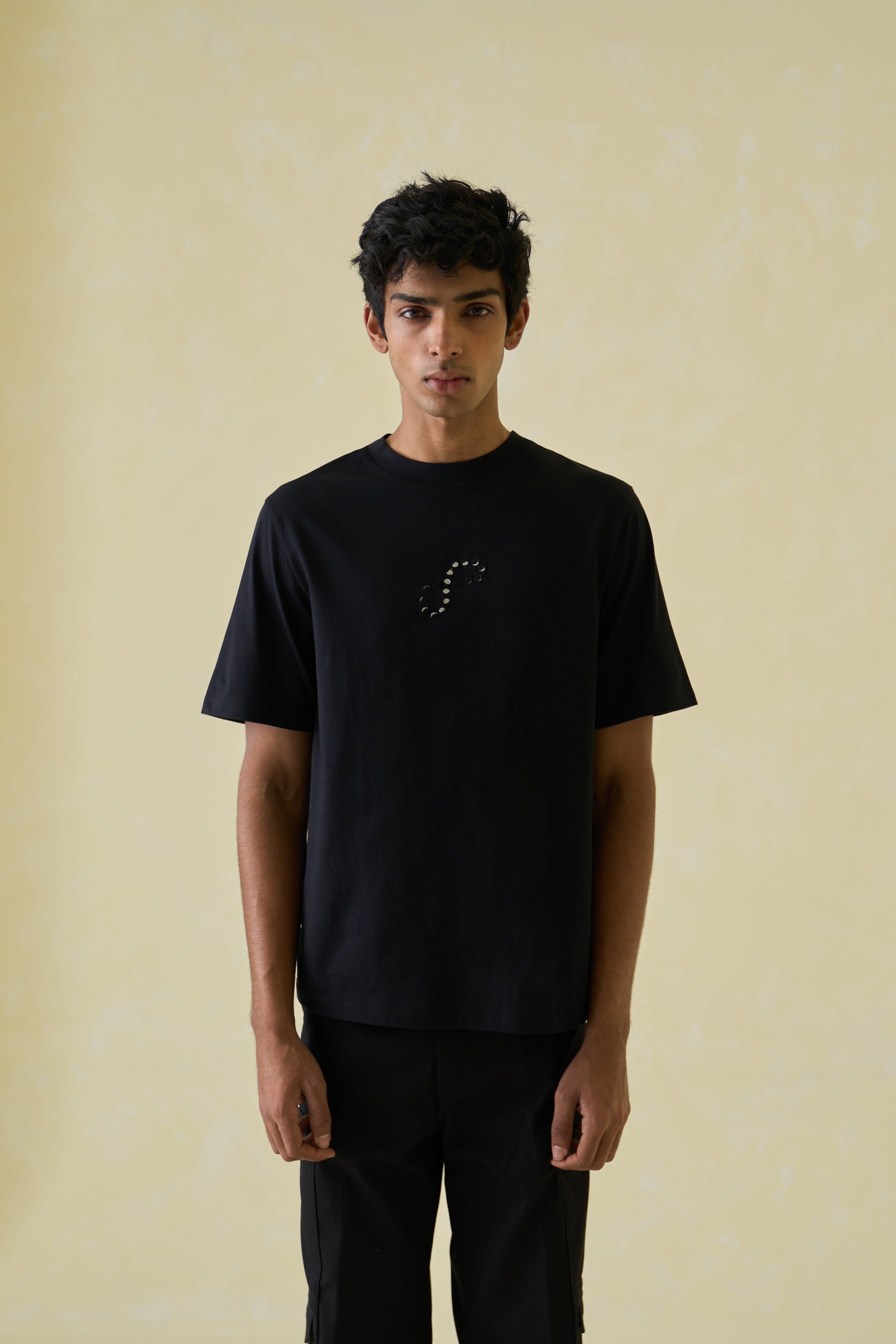 Moon Analemma  T-Shirt