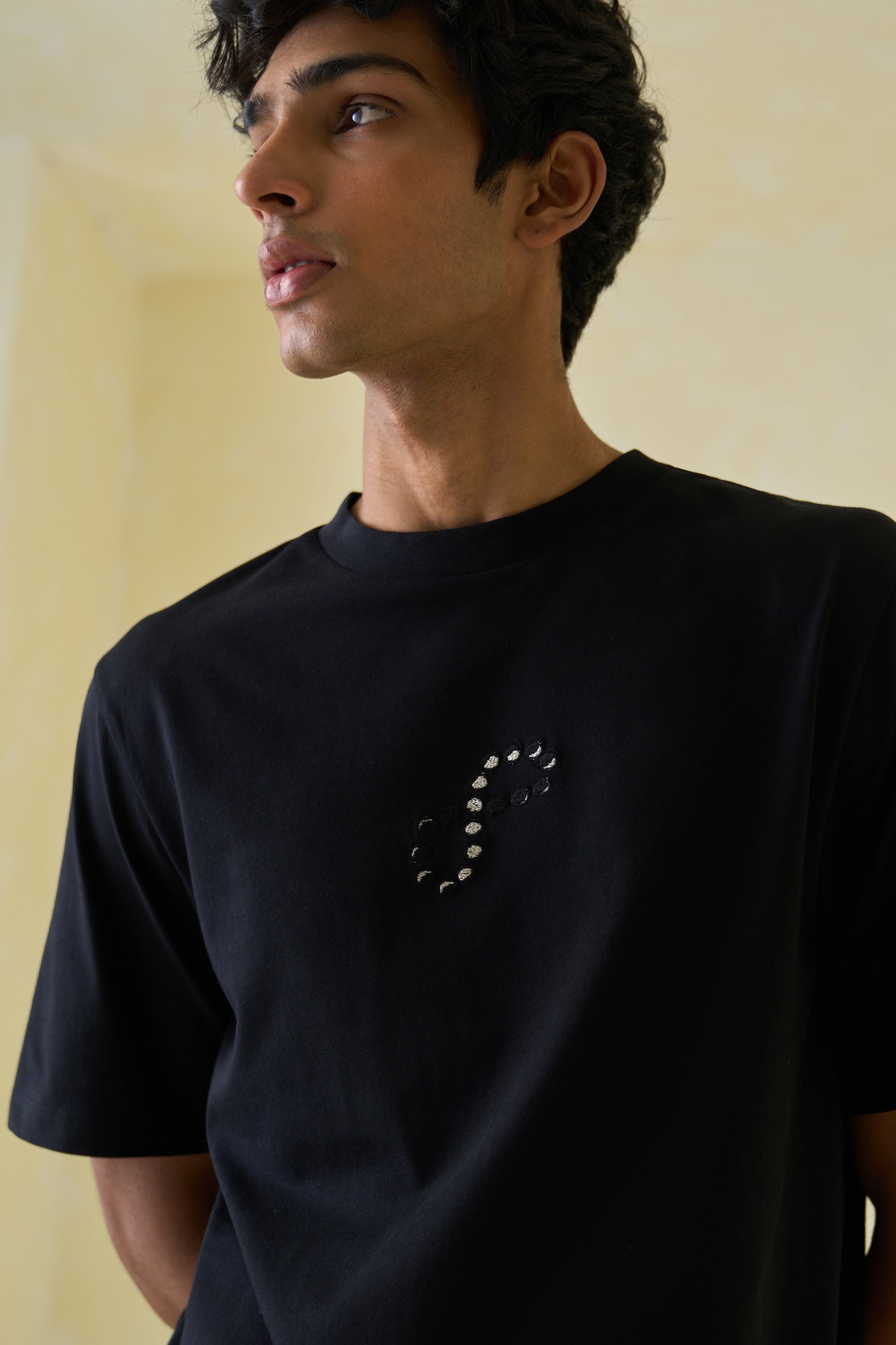 Moon Analemma  T-Shirt