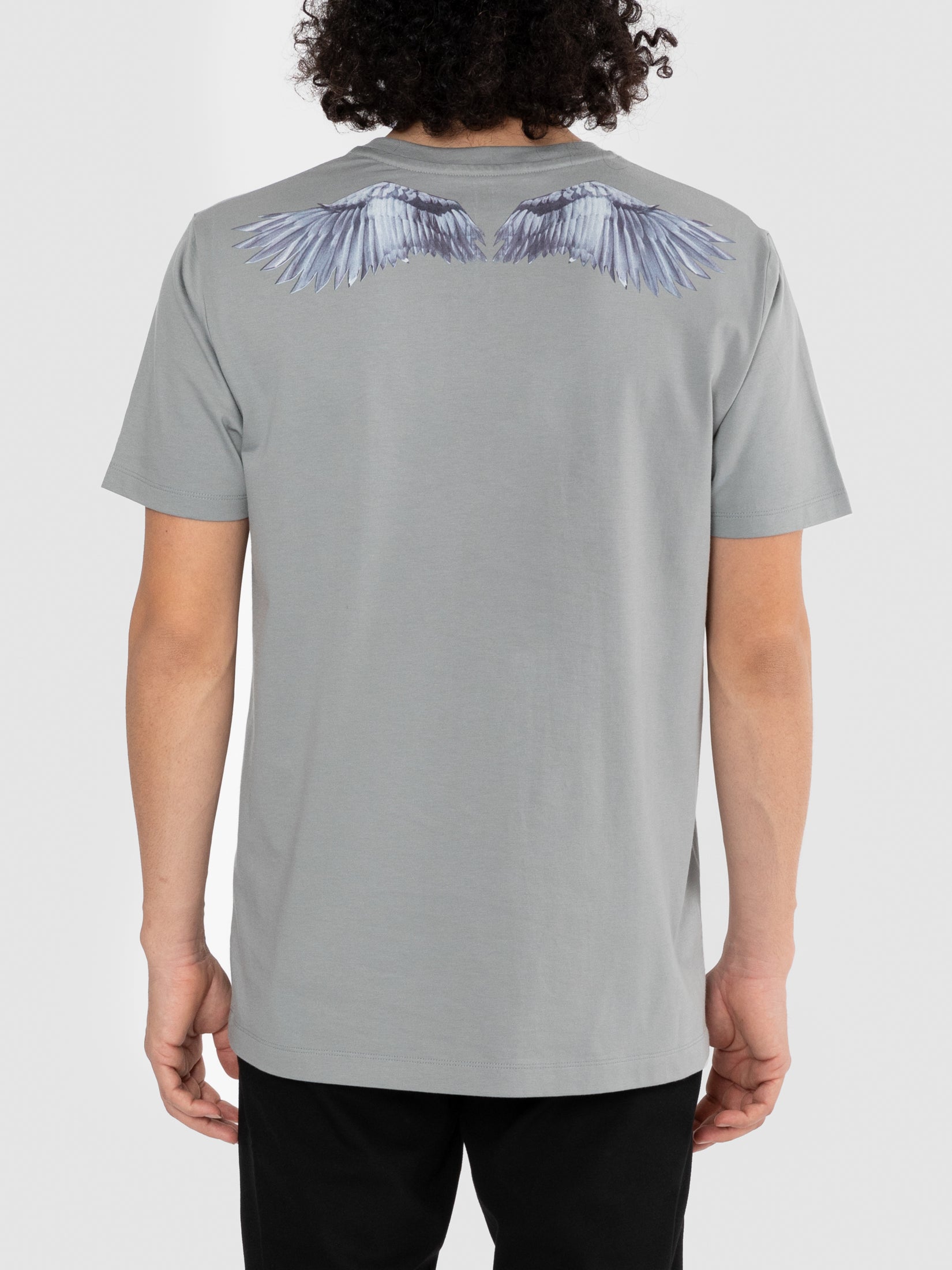 Why Walk When You Can Fly Tee