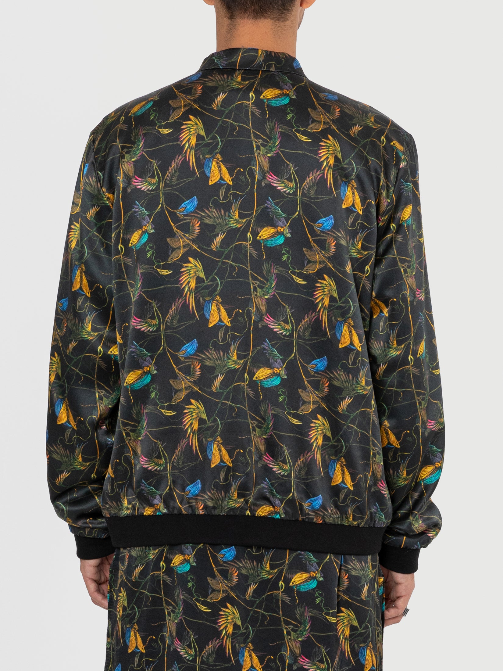 Cat in A Pod Bomber